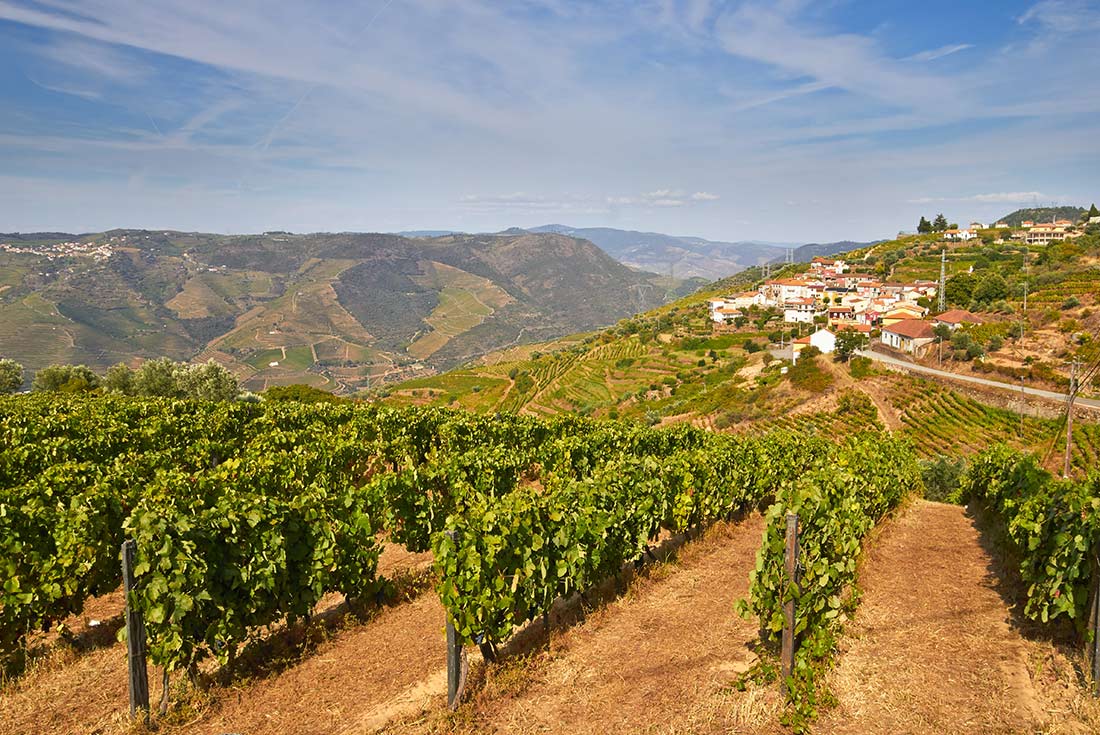 The Duoro Valley vineyards on a bright, sunny day, Portugal