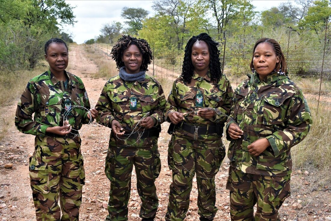 Group of 4 members of the black mambas stand proud in the African brush