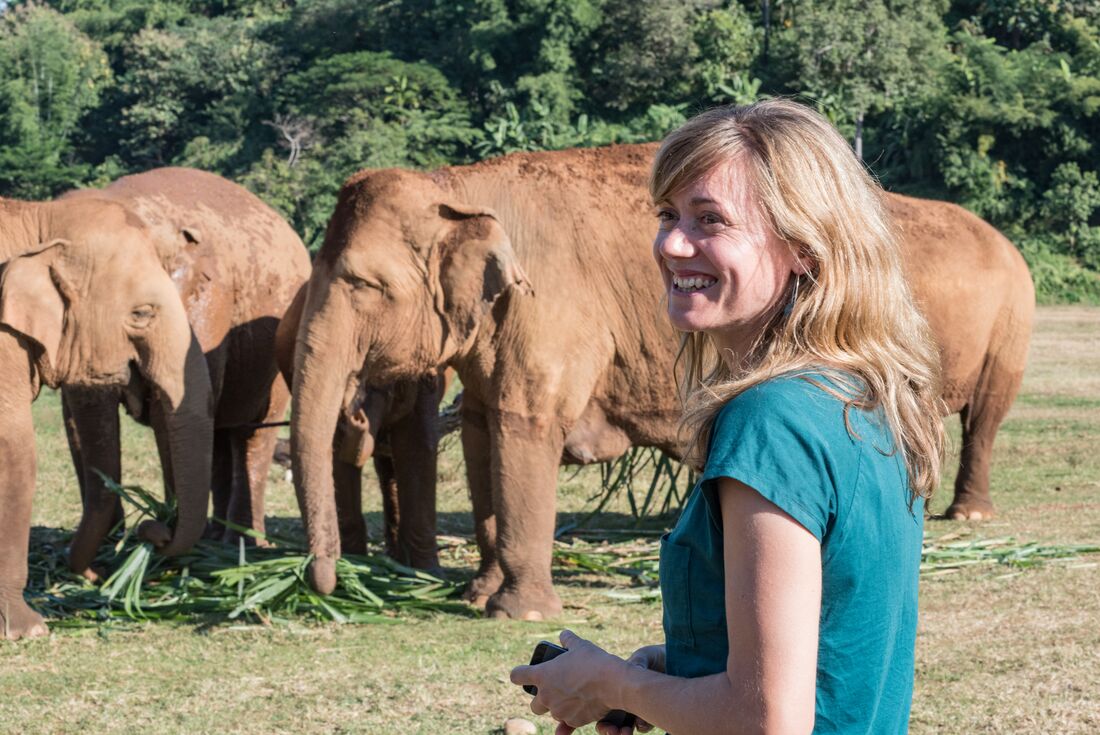 Traveller smiles back at others with asian elephants in a sanctuary in Chiang Mai