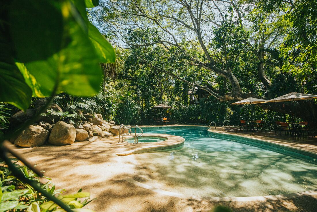 Your rainforest oasis at the Hotel Bosque del Mar