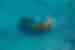 Drone view of travellers swimming at Keyodhoo shipwreck