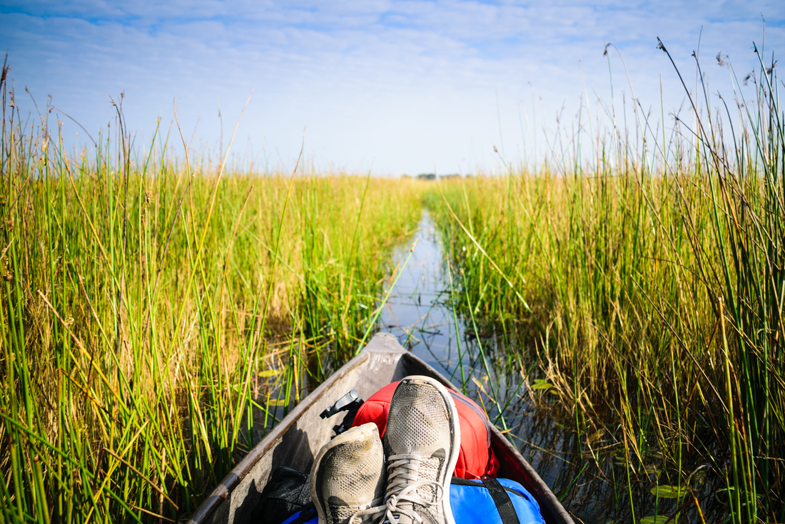 View from the mokoro through the Okavango Delta tour in Botswana on an Intrepid Travel tour.