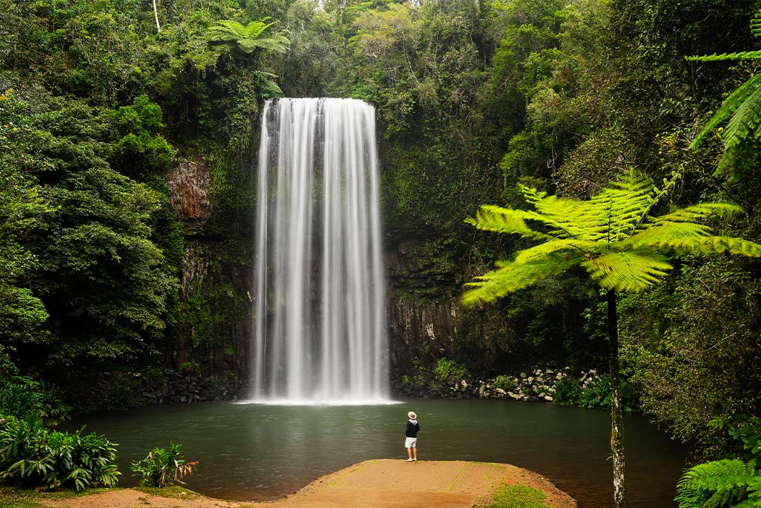 Traveller admiring Millaa Millaa Falls
