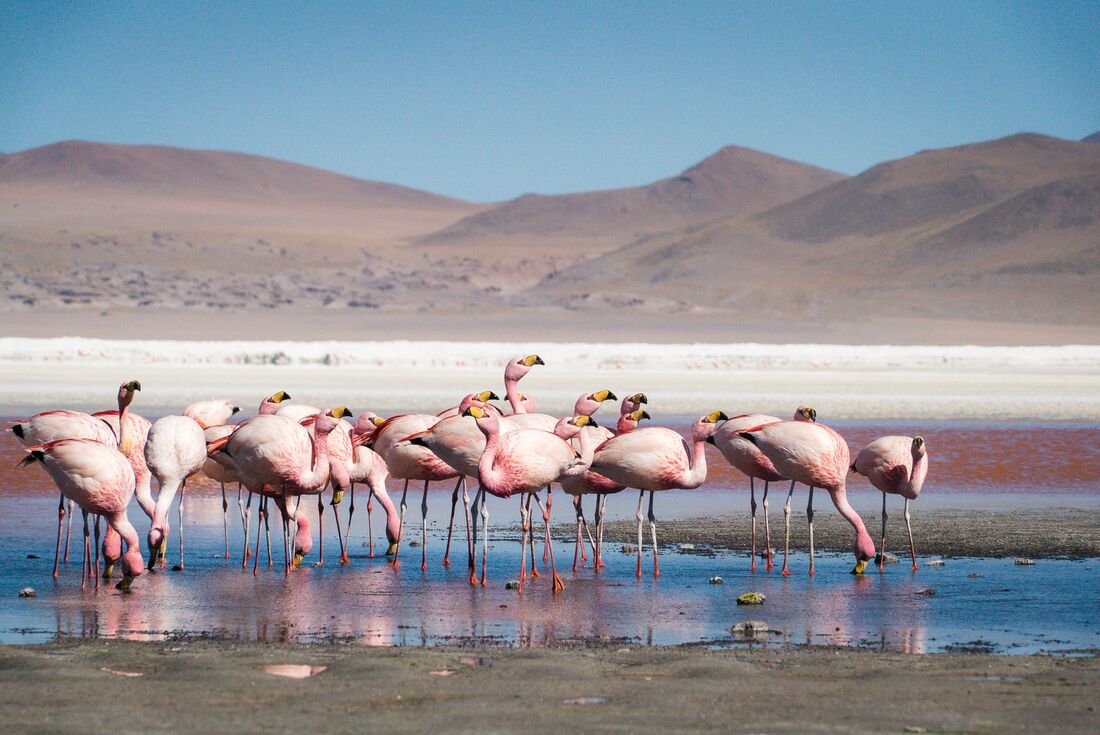 GGSV_bolivia-salar-de-uyuni-salt-flats