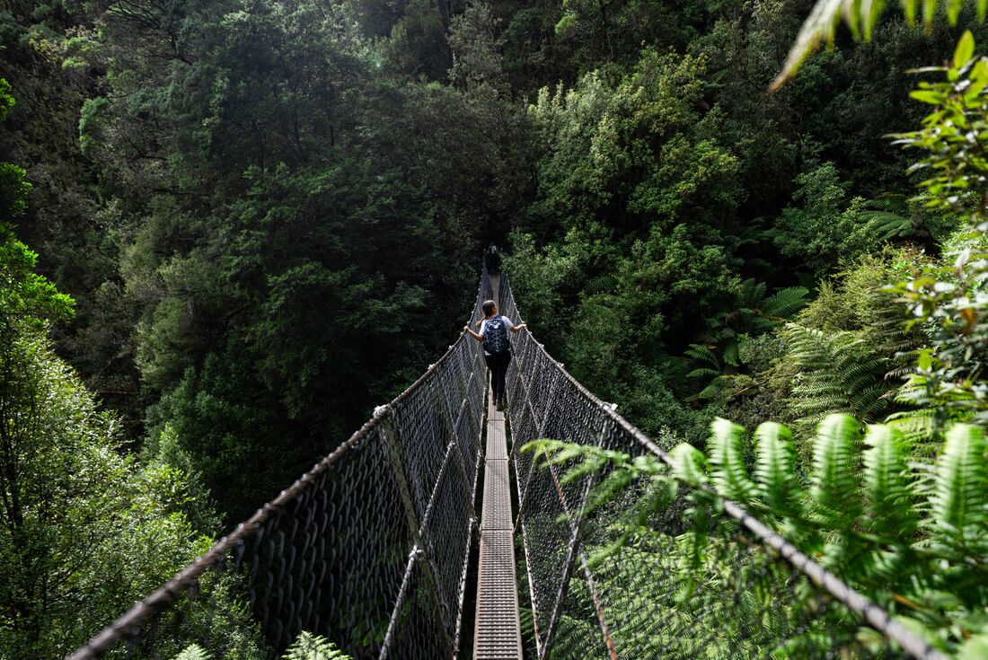 Intrepid traveller crossing a bridge suspended across a gorge in the Tarkine Rainfroest of Tasmania