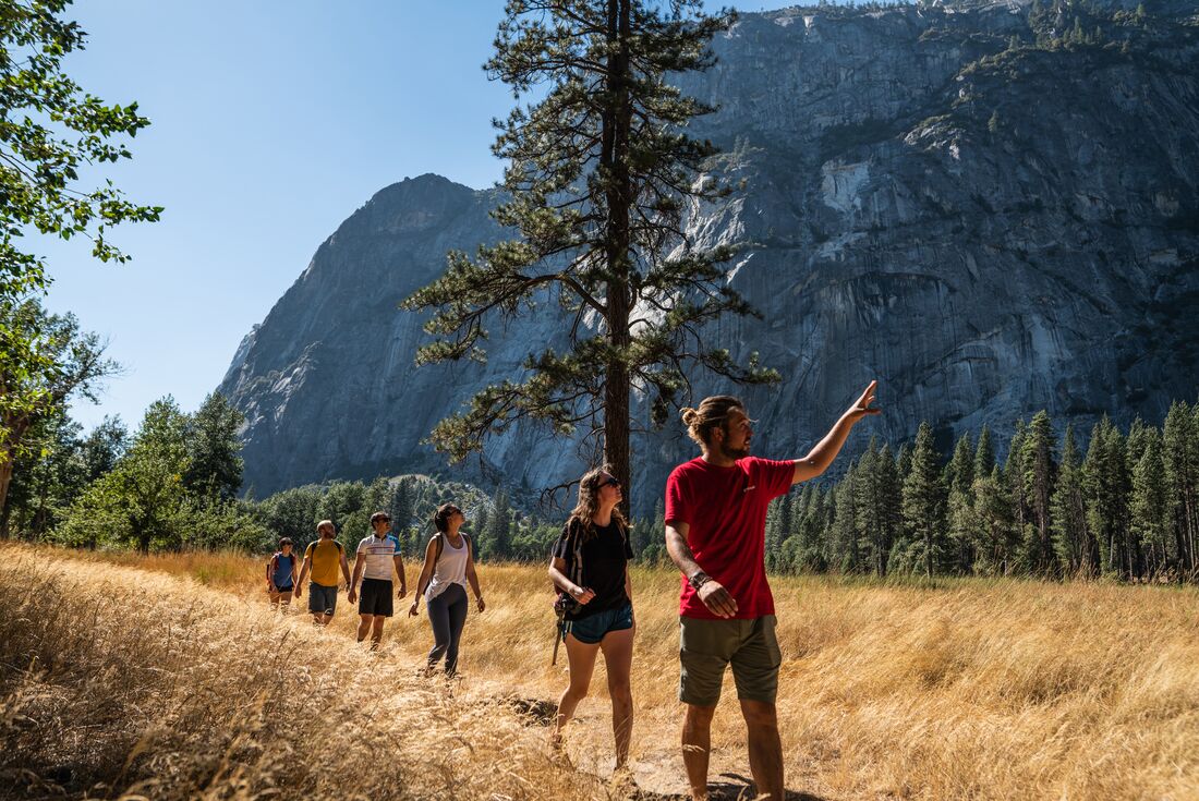 Leader points out a an area of interest while group hikes through Yosemite amidst light forest with mountains behind