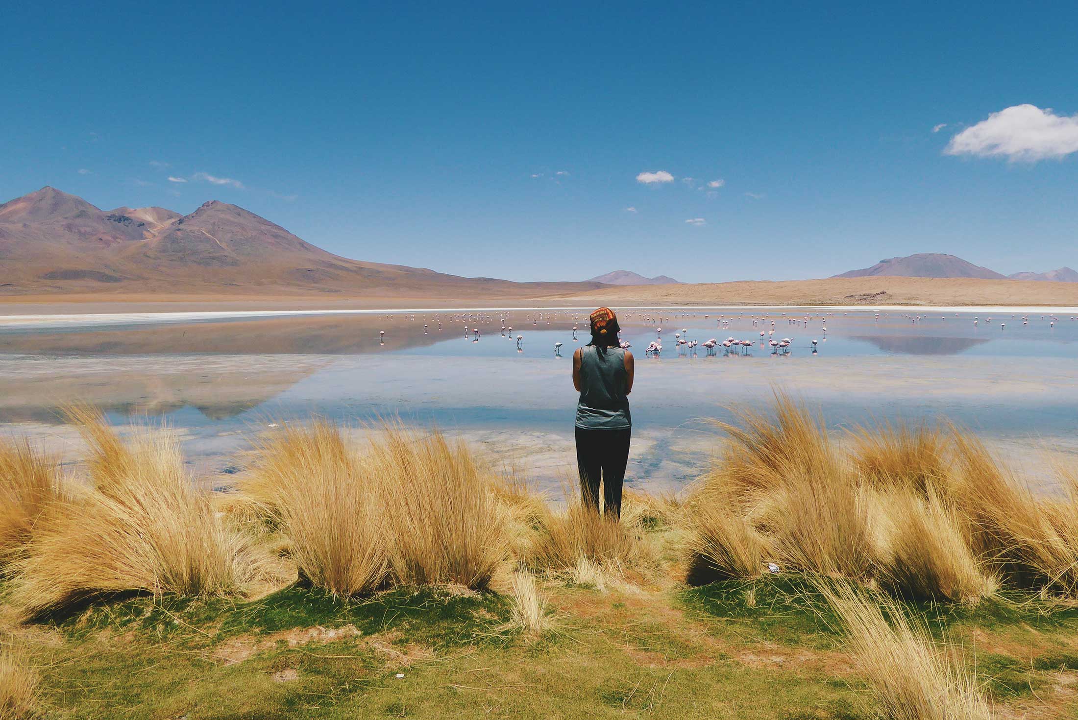 bolivia_uyuni_woman-looks-over-salt-flats-grassy