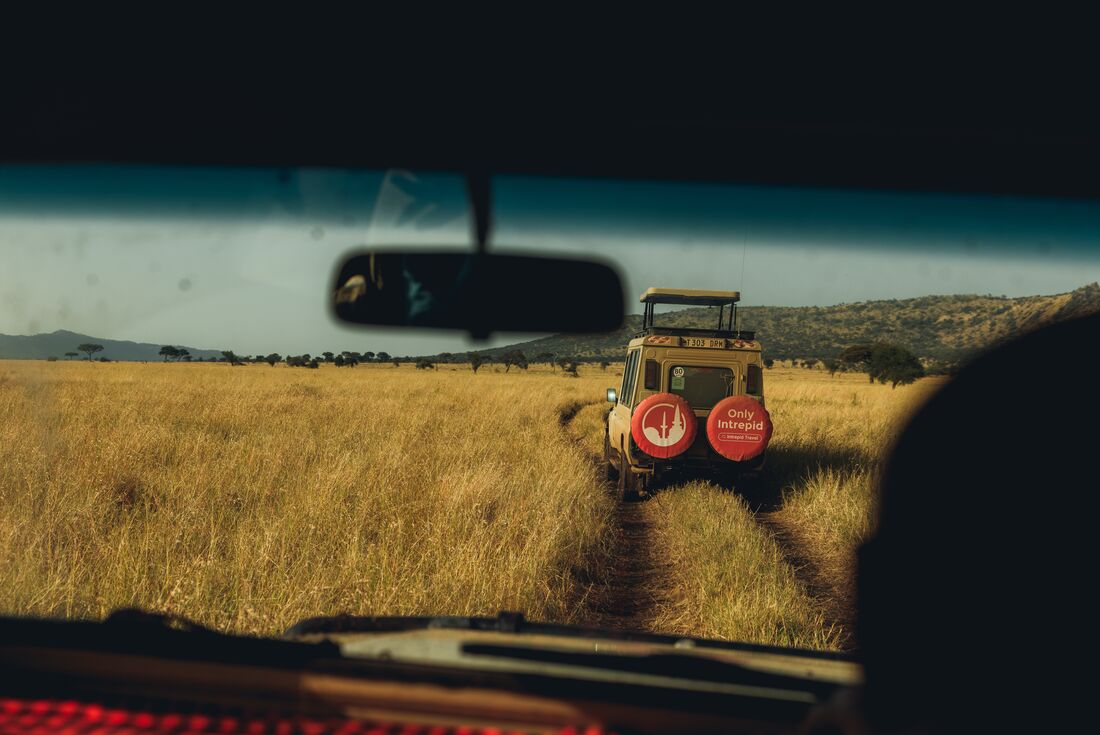 Safari on the Serengeti