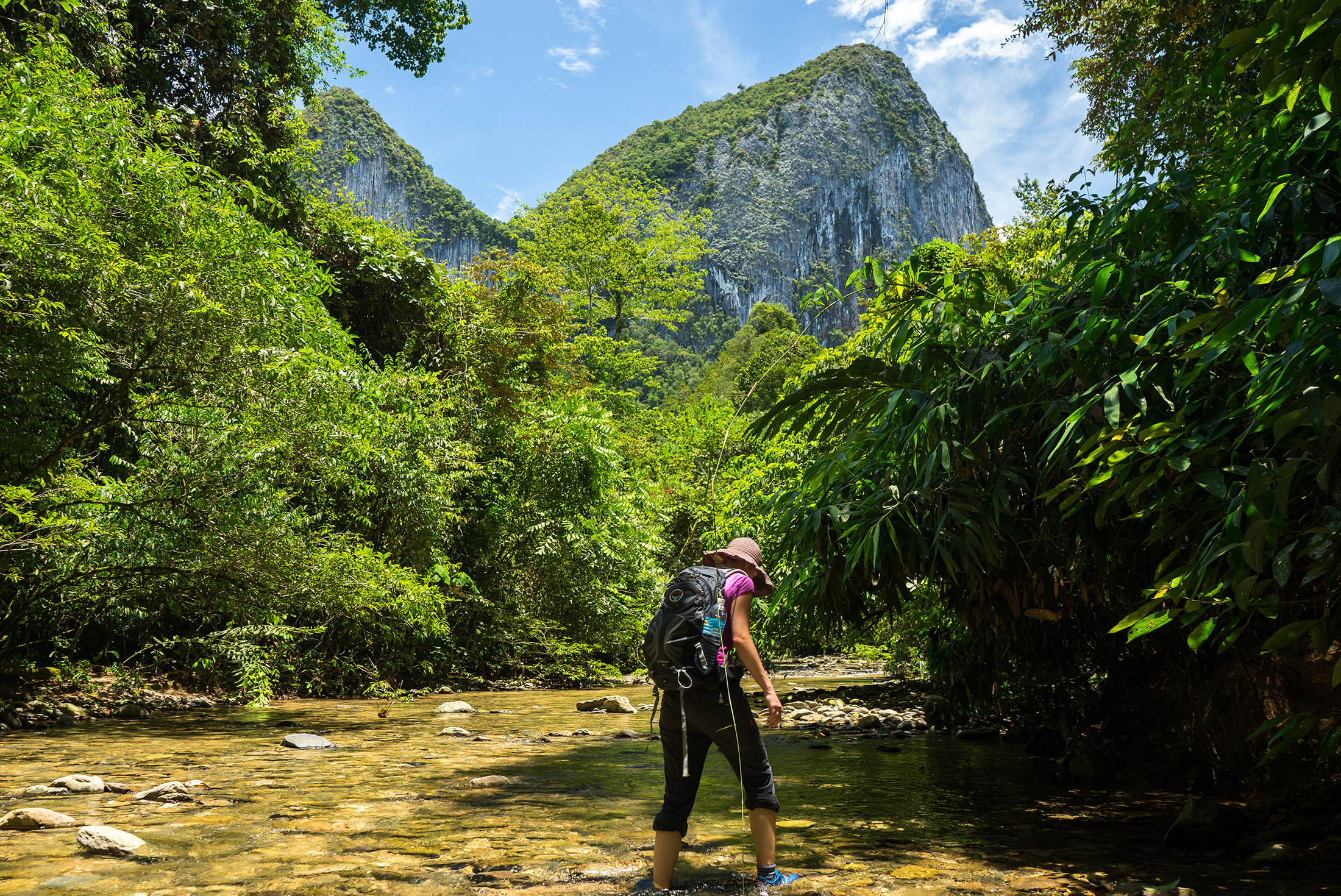 Garden of Eden walk in Mulu National Park, Borneo