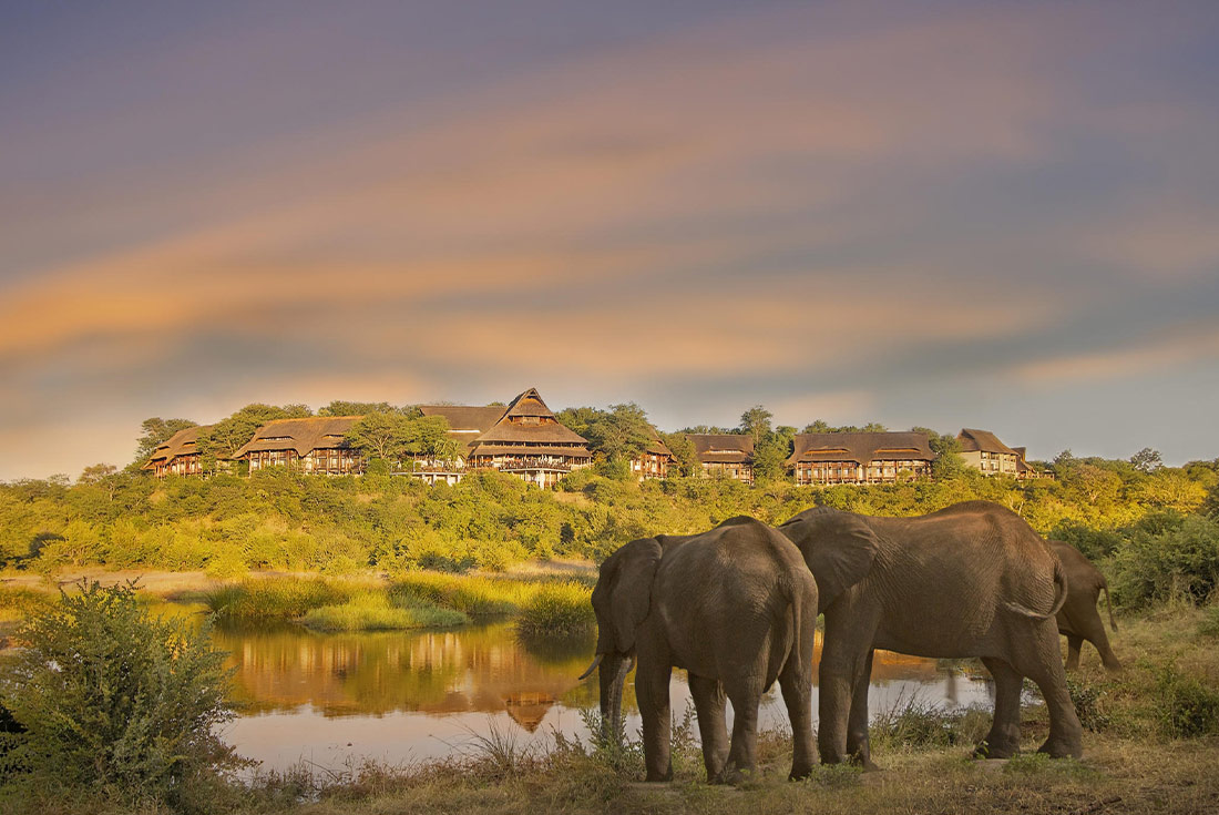 UBPK - Elephants in front of Victoria Falls Safari Lodge 
