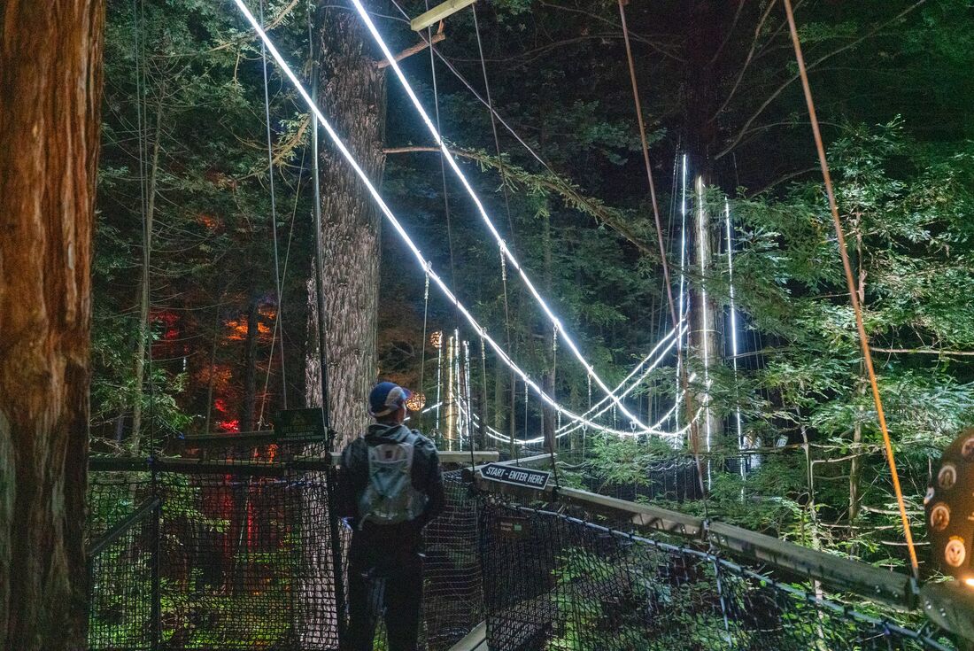View of traveller walking on an illuminated suspended bridge at night on the Redwood Forest Canopy Walk, Rotorua, New Zealand