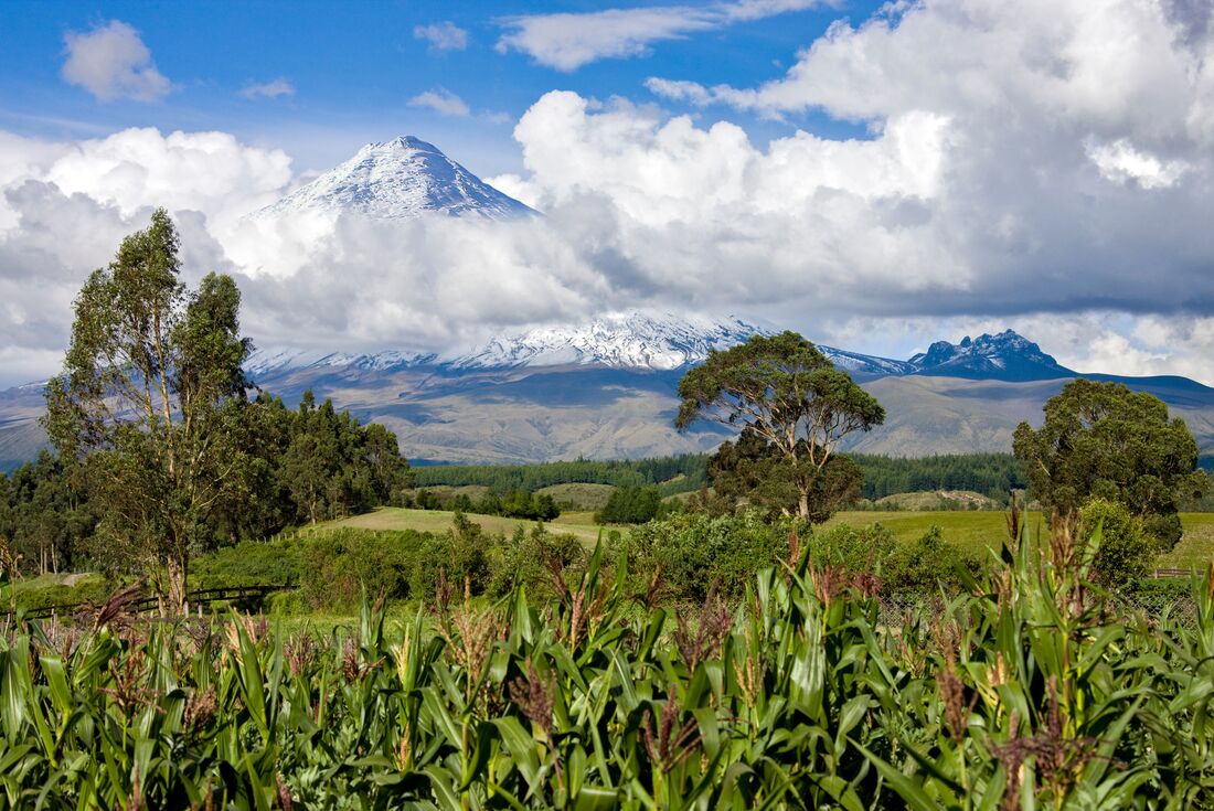 Avenue Of The Volcanos, Cotopaxi National Park, Ecuador